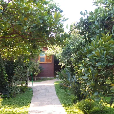 Bed and breakfast Mercan Çıralı