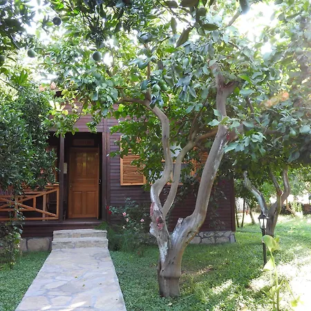 Mercan Bed and breakfast