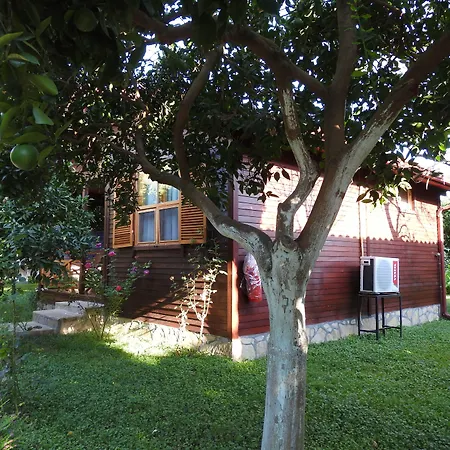 Bed and breakfast Mercan Çıralı