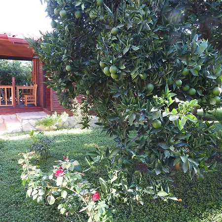 Bed and breakfast Mercan