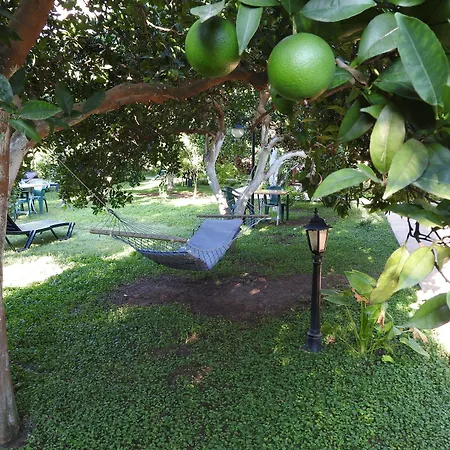 Bed and breakfast Mercan