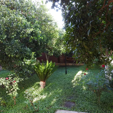 Mercan Bed and breakfast 4*