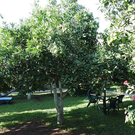 Mercan Bed and breakfast Çıralı