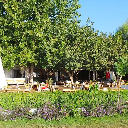 Bed and breakfast Mercan 4*