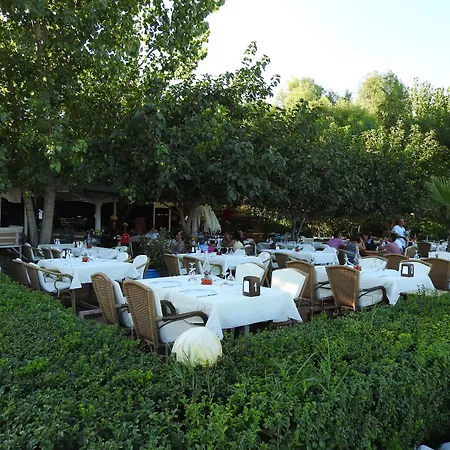 Bed and breakfast Mercan