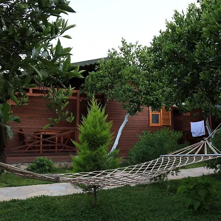 Bed and breakfast Mercan Çıralı