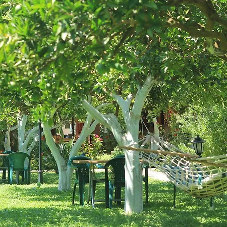 Bed & Breakfast Mercan