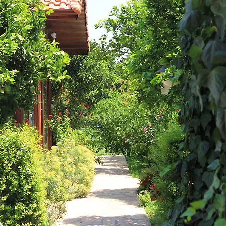 Mercan Bed & Breakfast 3*