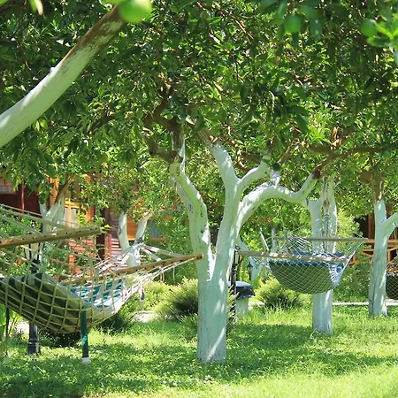 Bed and breakfast Mercan 3*