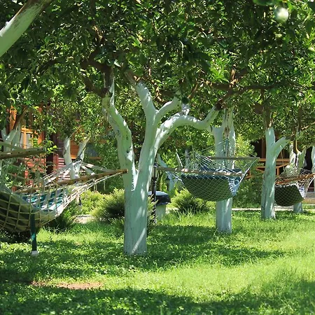 Bed and breakfast Mercan Çıralı