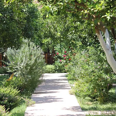 Mercan Bed and breakfast 3*
