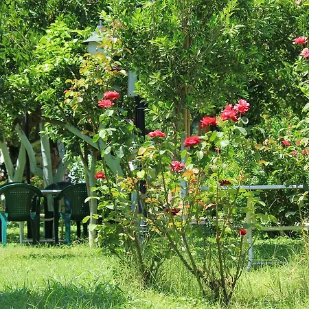Mercan Bed & Breakfast Cirali