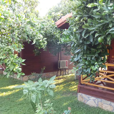 ميركان بنغالو