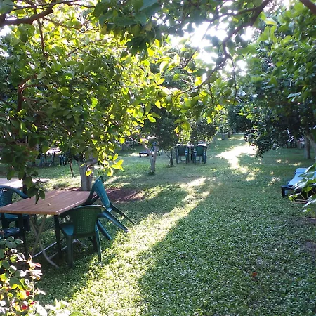 ميركان بنغالو فندق مبيت وإفطار Çıralı