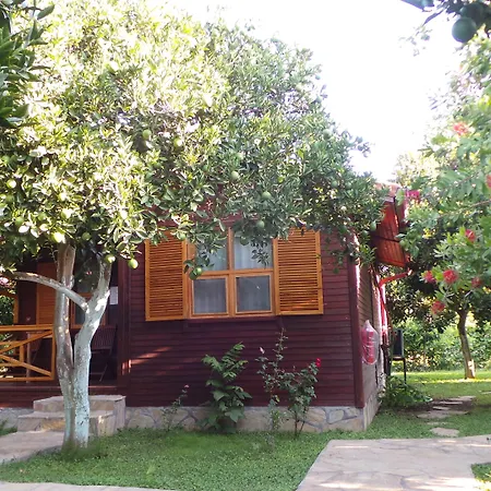 Bed & Breakfast Mercan