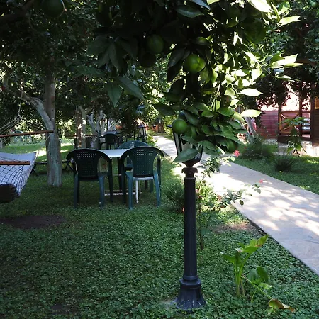 Bed & Breakfast Mercan 4*