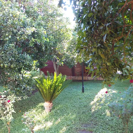 فندق مبيت وإفطار ميركان بنغالو Çıralı