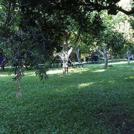 ميركان بنغالو فندق مبيت وإفطار Çıralı