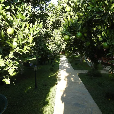 Mercan Bed & Breakfast