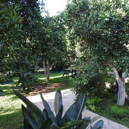 Bed & Breakfast Mercan 4*