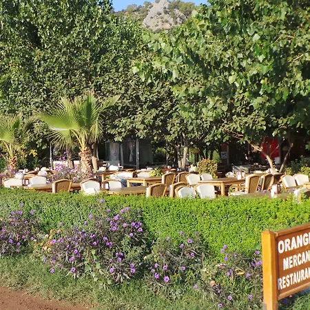 ميركان بنغالو