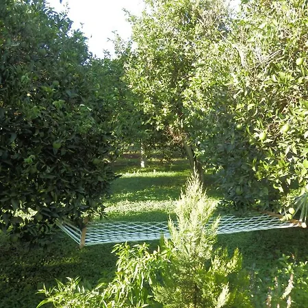Bed and breakfast Mercan 3*