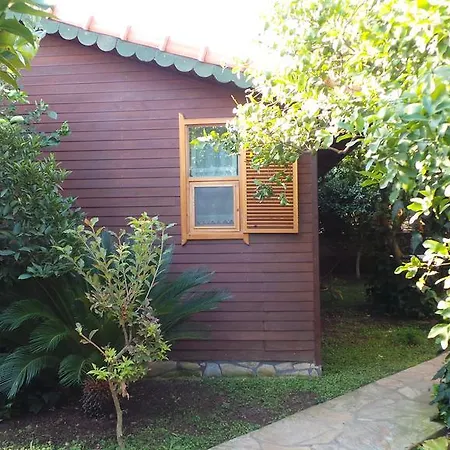 Mercan Bed and breakfast Çıralı