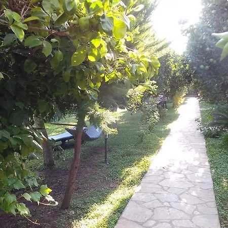 Mercan Bed and breakfast Çıralı