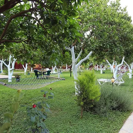 Mercan Bed & Breakfast Cirali