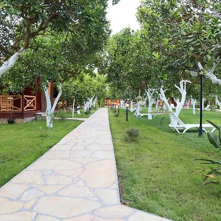 Mercan Çıralı