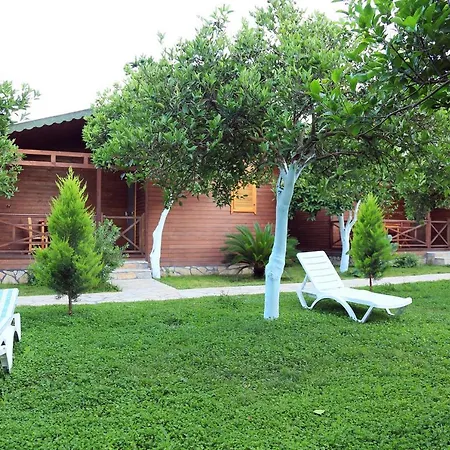 Mercan 3*