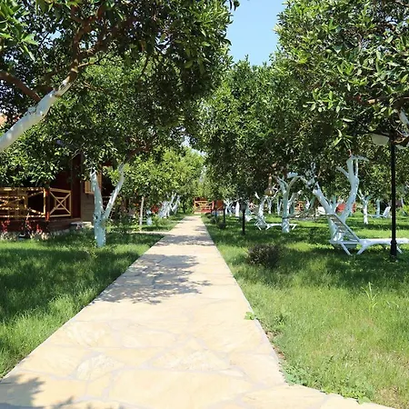 ميركان بنغالو فندق مبيت وإفطار 4*