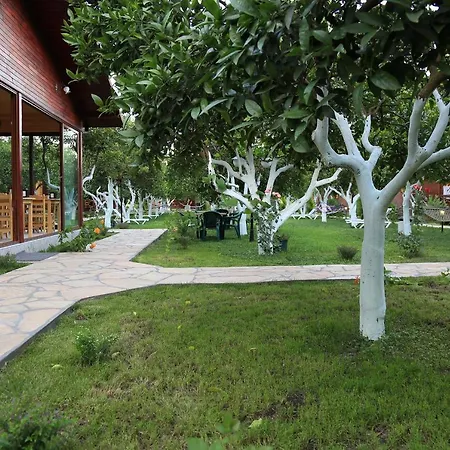 Mercan Bed and breakfast 3*