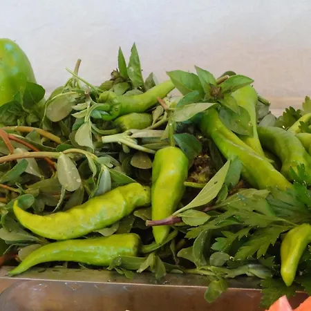 Bed & Breakfast Mercan Çıralı