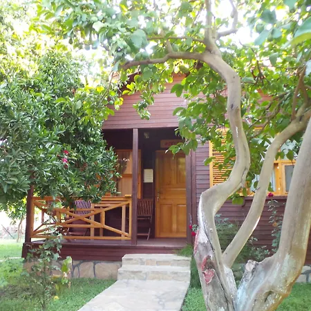 Mercan Bed & Breakfast Çıralı