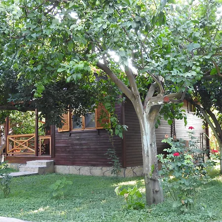 Mercan Bed & Breakfast