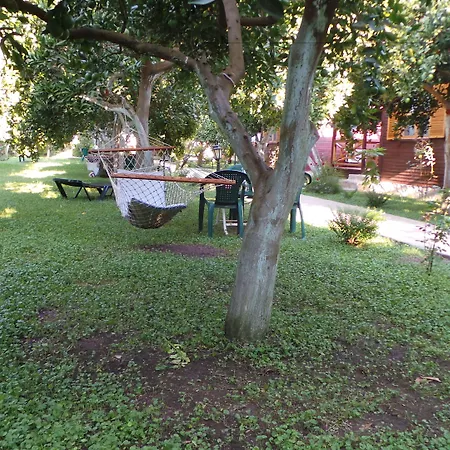 Bed & Breakfast Mercan Çıralı