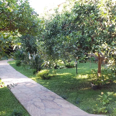 Bed & Breakfast Mercan Çıralı