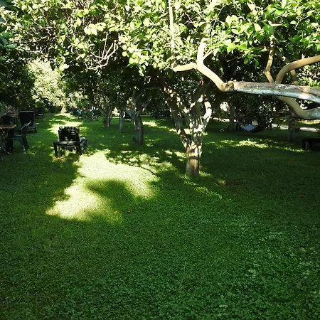 Mercan Bed & Breakfast