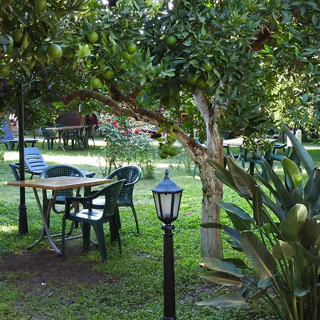 Mercan Bed & Breakfast Çıralı