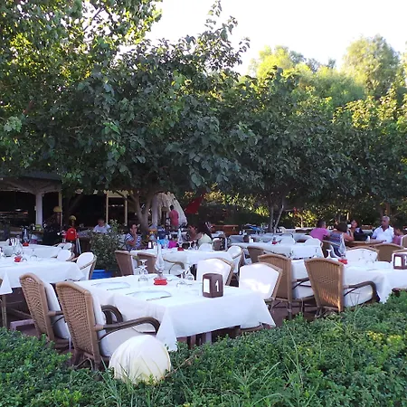 Mercan Bed & Breakfast Çıralı