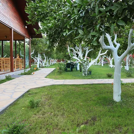 Bed & Breakfast Mercan